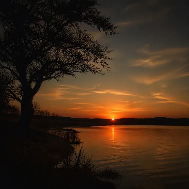 Fading Light