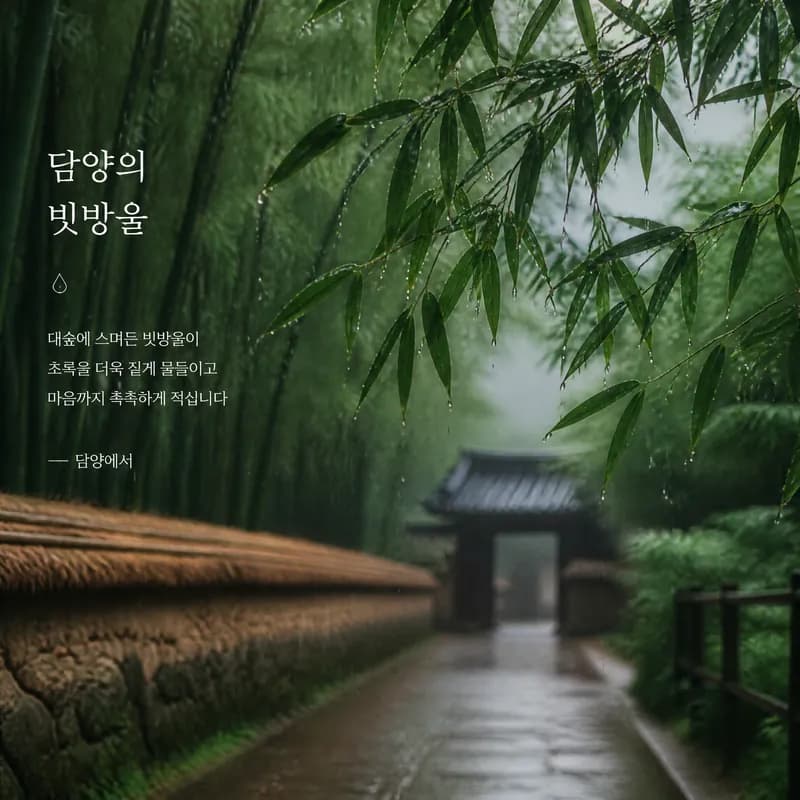 담양의 빗방울